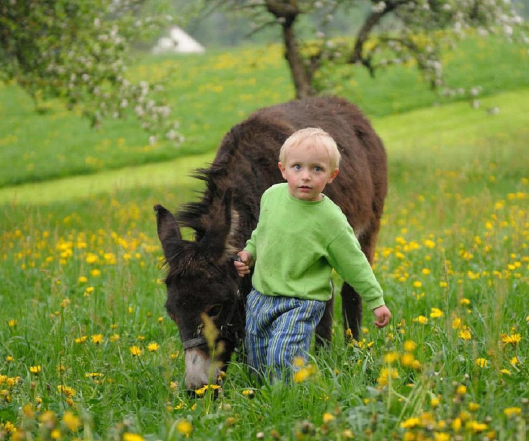 Deinerhof Daire Hauzenberg Dış mekan fotoğraf